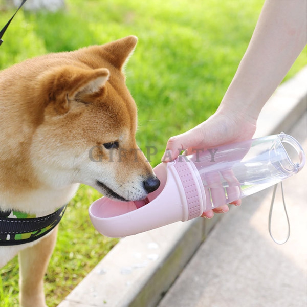 PET2340948D00924