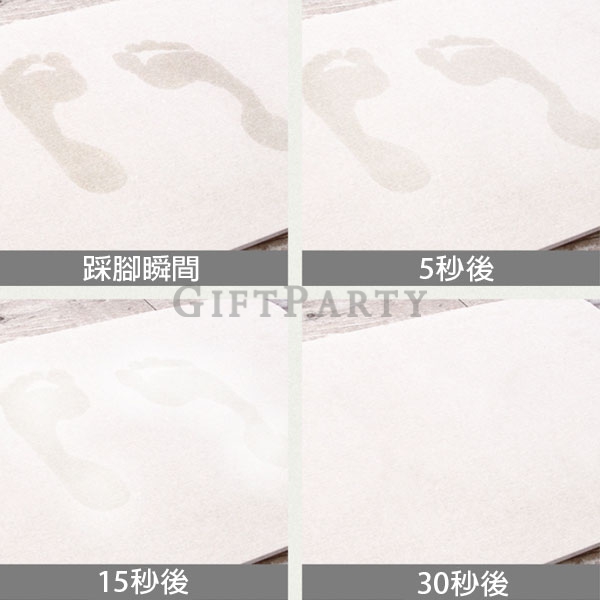 GP2340872Q3985-硅藻泥吸水速乾防水地墊2