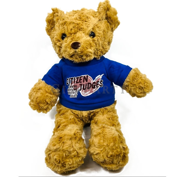 teddy bear,企業絨毛,企業公仔,客製T恤泰迪熊客製化絨毛玩偶, LOGO T恤公仔, 品牌療癒禮品, 兒童活動贈品, 百貨滿額禮推薦, 公益贈品, 企業形象公仔